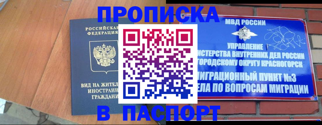 найти адрес прописки в Новосибирской области